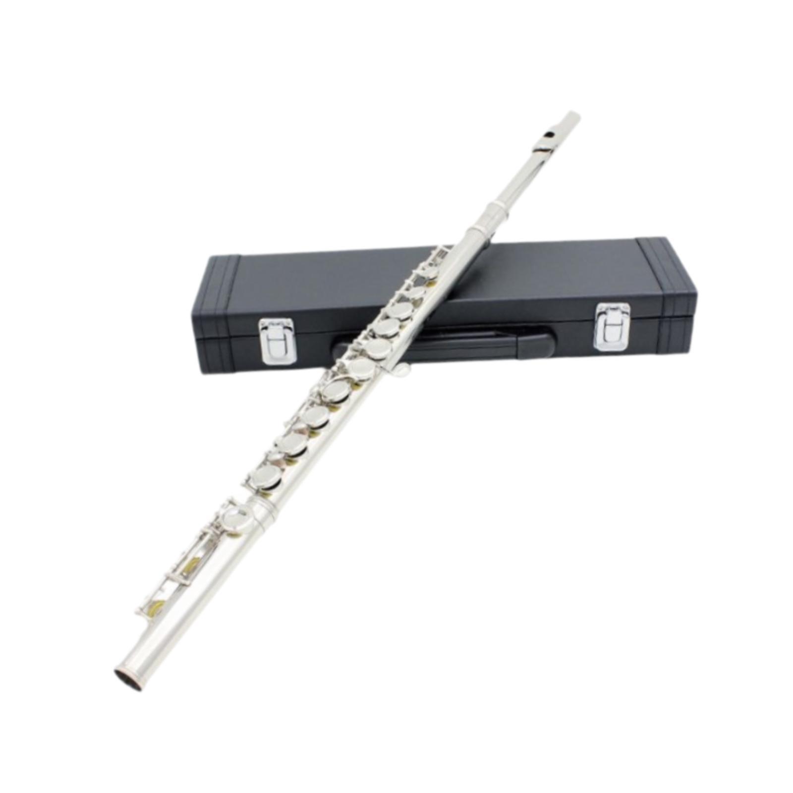 Easy Play 16-toetsen fluitinst - Musical Instrument I Play recensie en prijs
