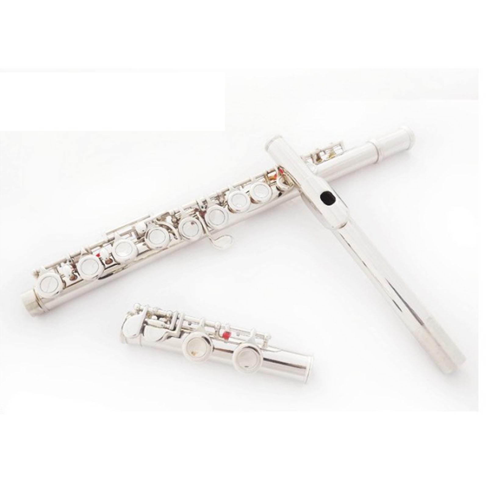 Easy Play 16-toetsen fluitinst - Musical Instrument I Play recensie en prijs