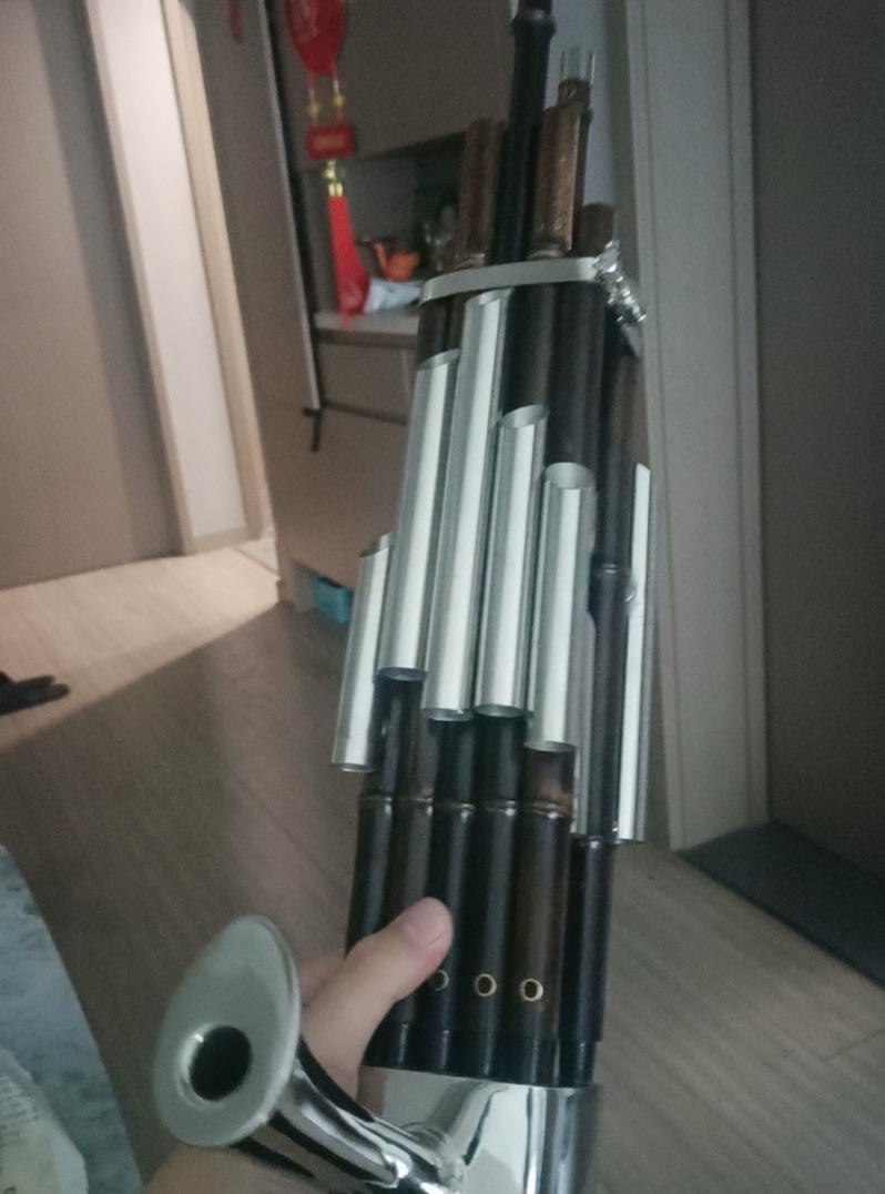 17 rieten Sheng, paarse bamboe - Musical Instrument Reed recensie en prijs