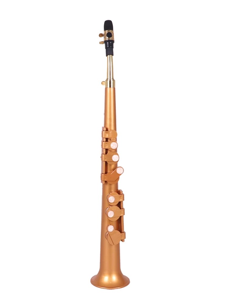 Saxofoon Littlesax Pocket Sax  - Musical Instrument Reed recensie en prijs