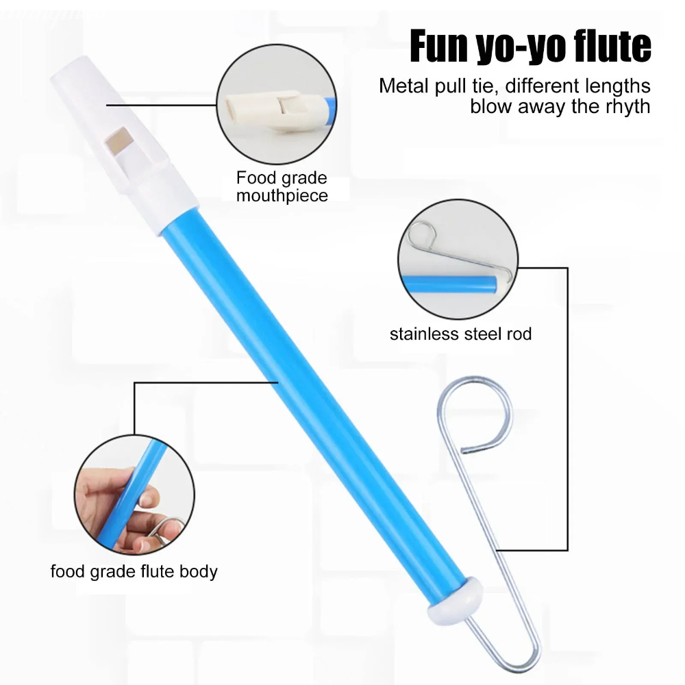 1PC Muziekinstrument Glijbaan  - Musical Instrument Maraca recensie en prijs